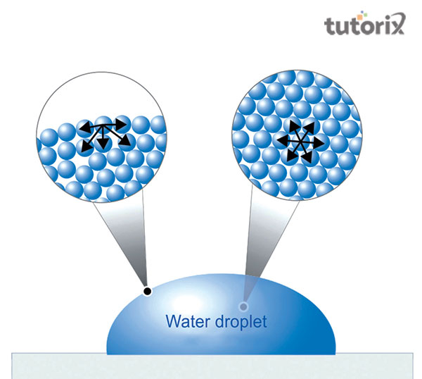 Detergents and Surface Tension