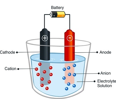 Types of Electrophoresis