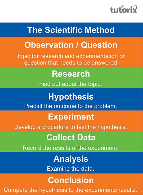 scientific method conclusion example