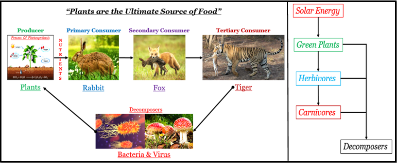 Define an ecosystem draw a block diagram to show t tutorix