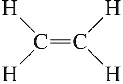 One of the following contains a double bond as wel - Tutorix