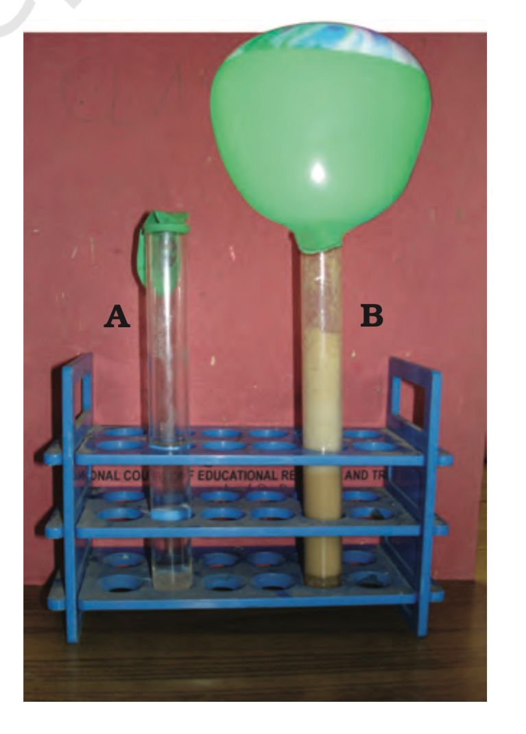Project Requirements 2 test tubes marker pen sugar Tutorix