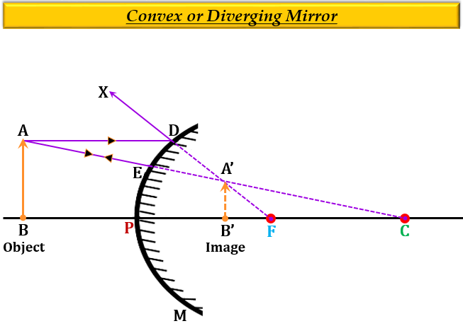 Where Would The Image Be Formed By A Convex Mirror Tutorix Image Be Formed By A Convex Mirror, What Image Is Formed By A Convex Mirror