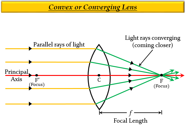 Which Type Of Lenses Are A Thinner In The Middle T Tutorix
