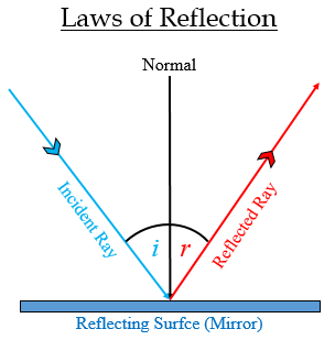 The Laws Of Reflection Hold True For A Plane Mirro Tutorix