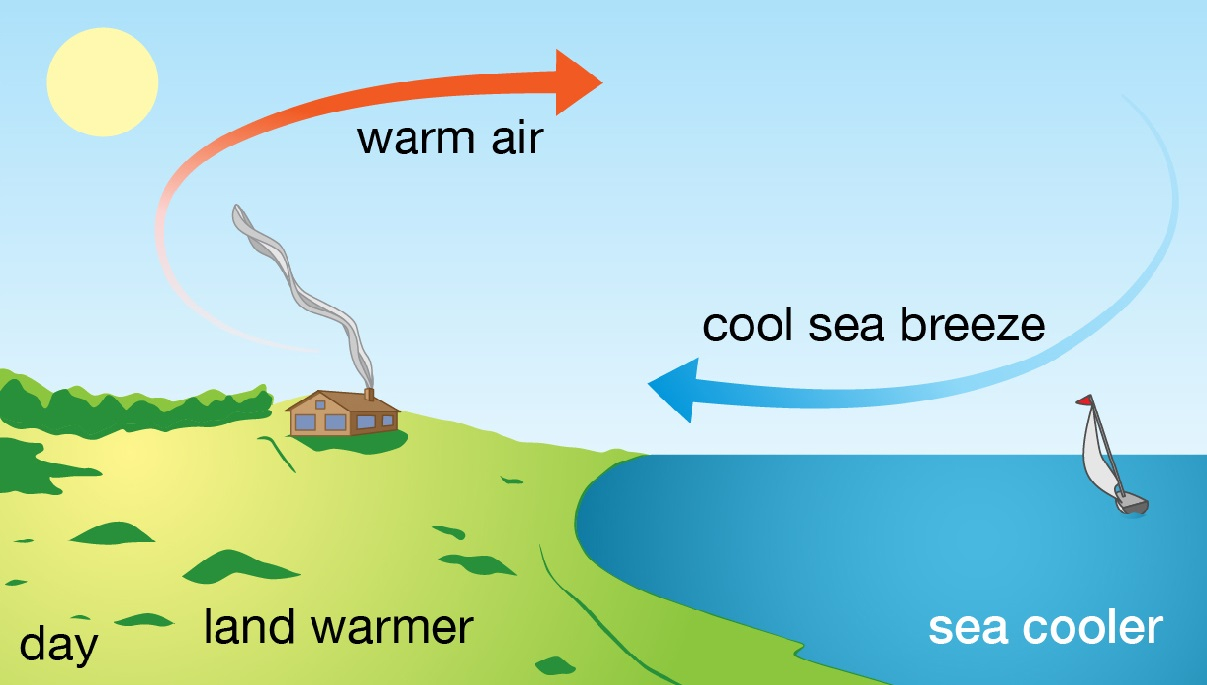 What is meant by sea breeze When does it occur - Tutorix